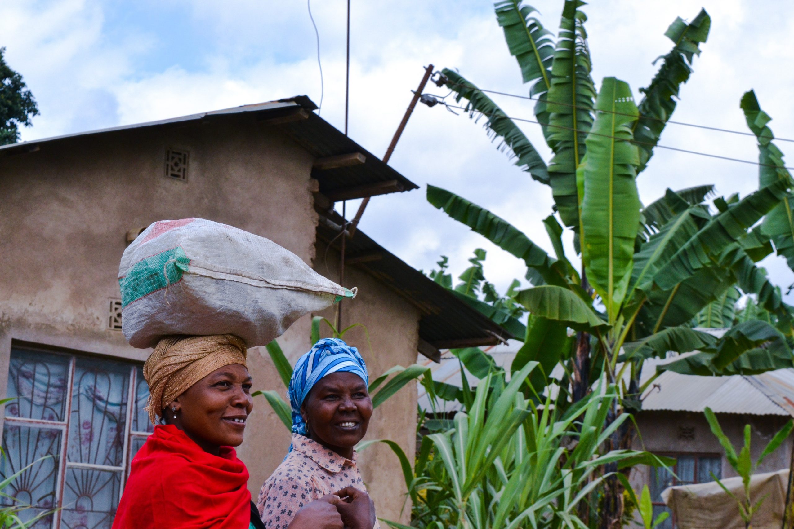 Read more about the article Acheter un bien immobilier en République Démocratique du Congo