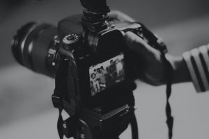 Read more about the article <strong>Se lancer en tant que  photographe animalier</strong>