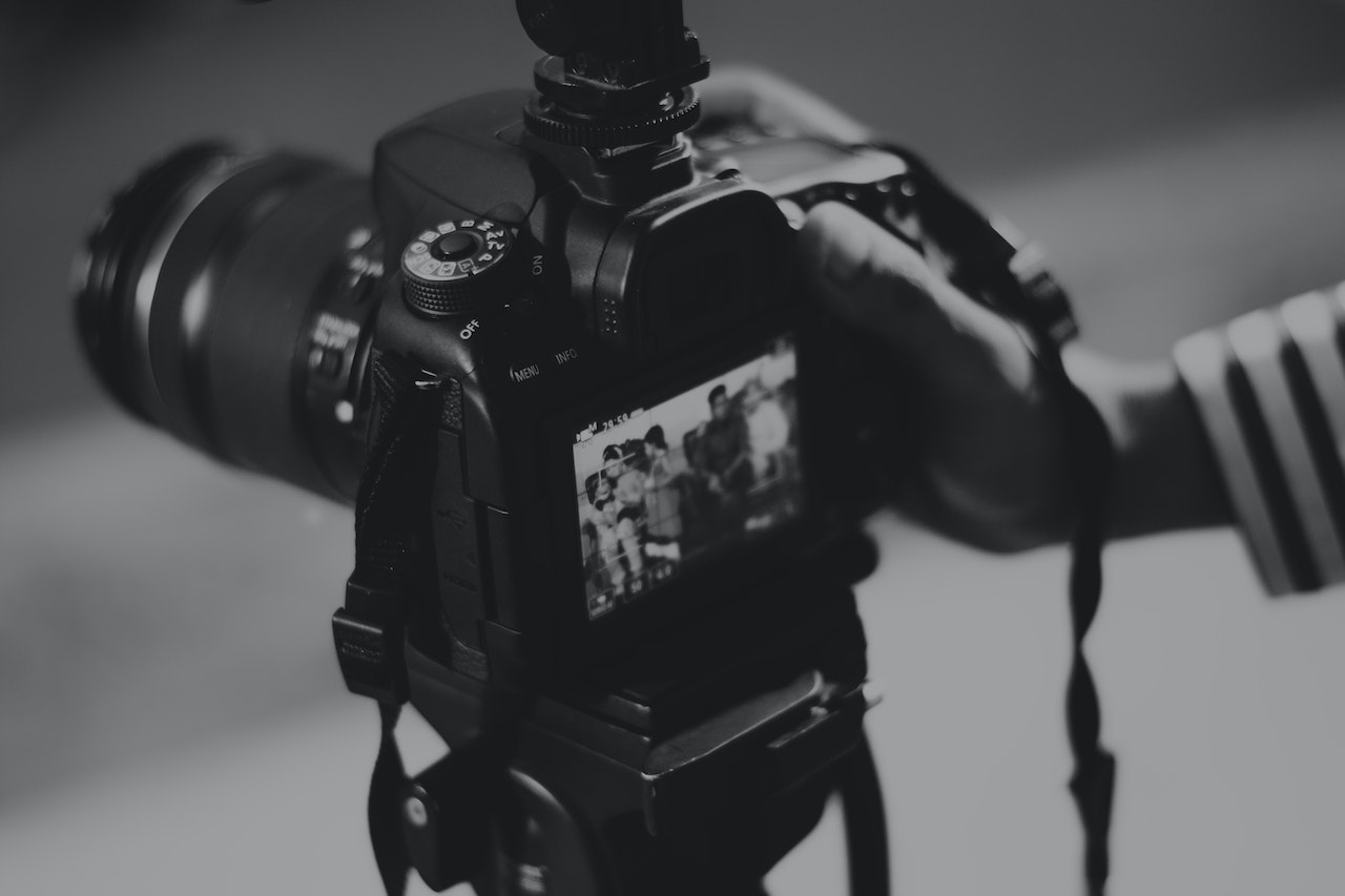 Read more about the article <strong>Se lancer en tant que  photographe animalier</strong>